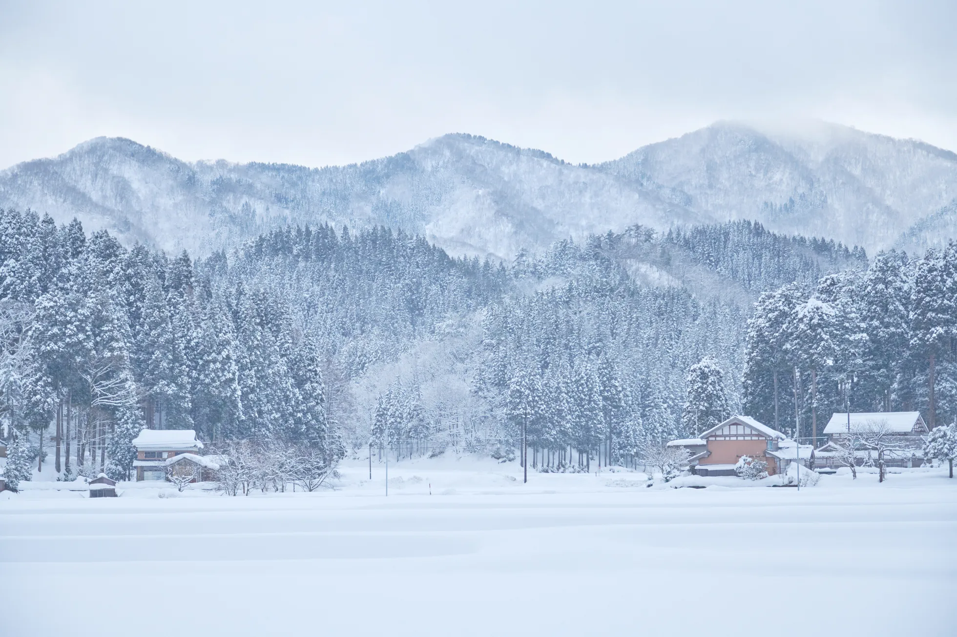 雪に覆われた池田町の住宅