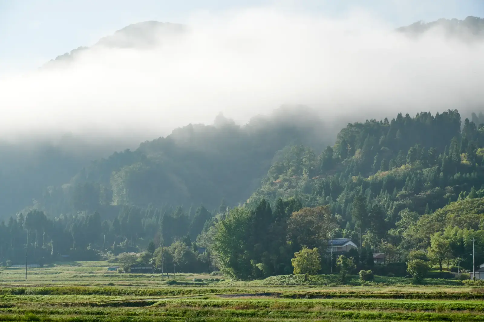 池田町の山あい — 朝霧と田園