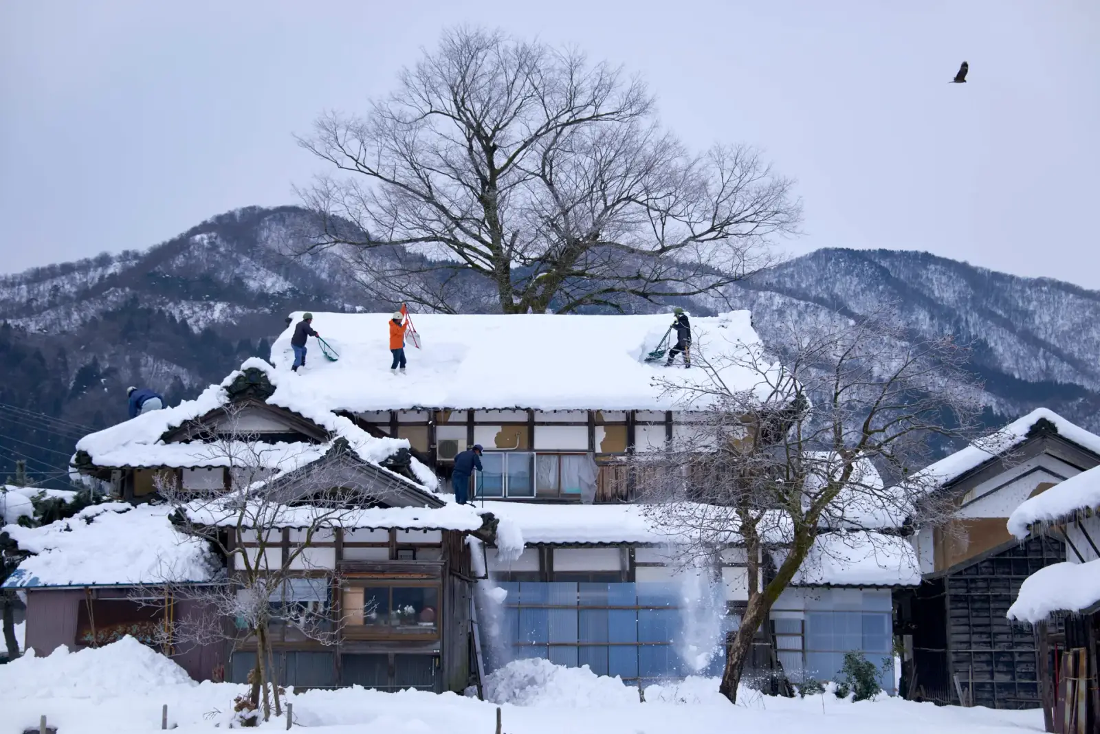 池田町の冬景色