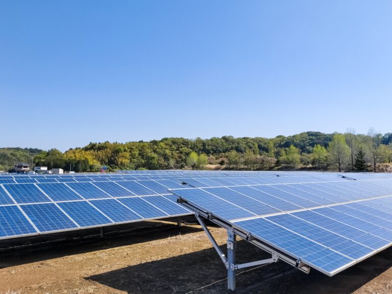特産振興営農型太陽光発電事業に係るプロポーザル実施について